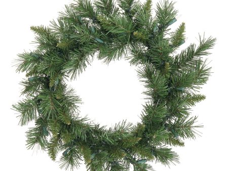 2 Pack - Vickerman 24in. Green 100 Tips Wreath Fashion