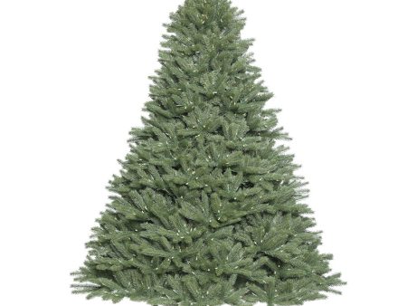 Vickerman 14 ft. Colorado Spruce LED 11310 Tips Christmas Tree Online