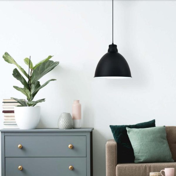 Archie Pendant Light in Black Eurotech - P821-BLK For Discount