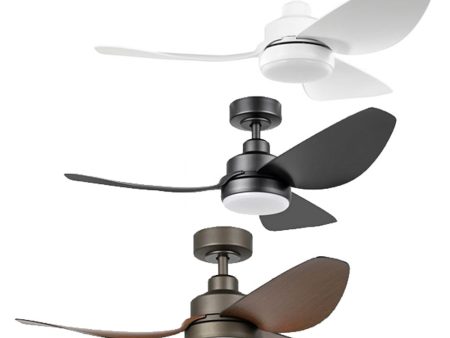 42  Torquay DC Ceiling Fan with LED Light CCT 20w in White, Black or Oil-Rubbed Bronze Online