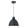 Archie Pendant Light in Black Eurotech - P821-BLK For Discount